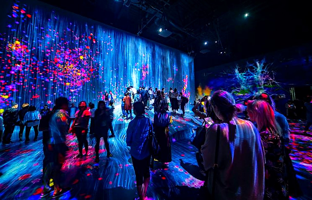Immersive shows